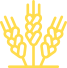 ico_count_1-1-2.png