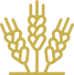 ico_count_1-4.png