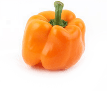 img_6-2.png
